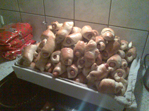 Hvad har jeg lært ved at bage 100 pølsehorn